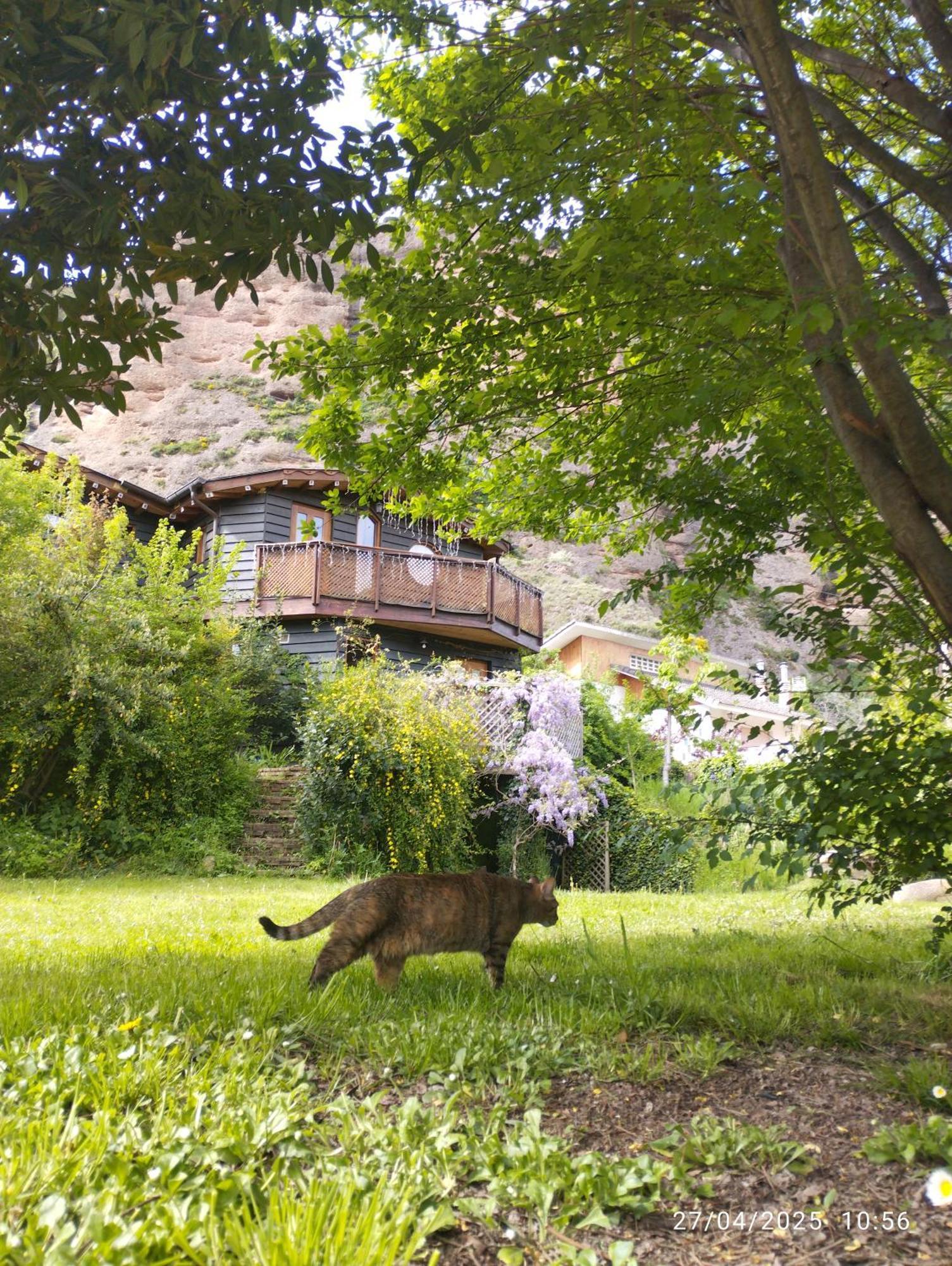 La Casa Verde Islallana 外观 照片